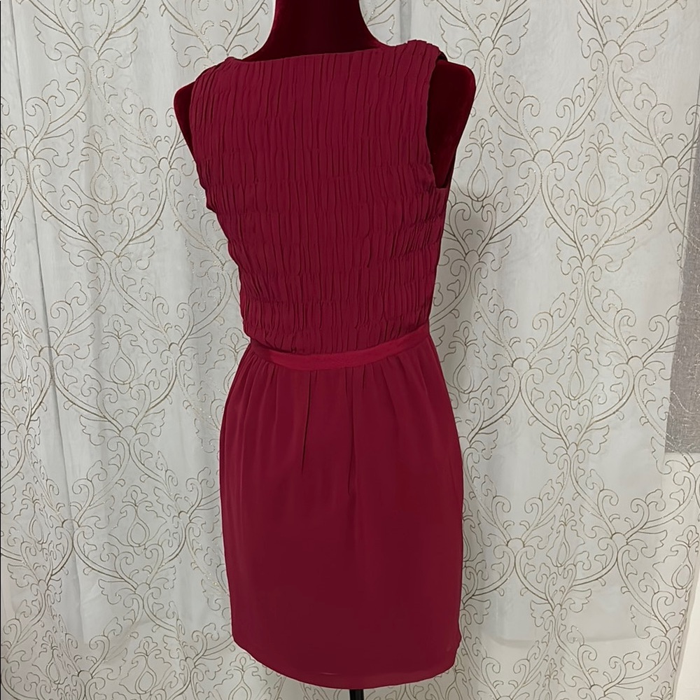 Elegant Sleeveless Dress - Picture 6 of 11